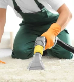Carpet Cleaner Cork – RJ Services